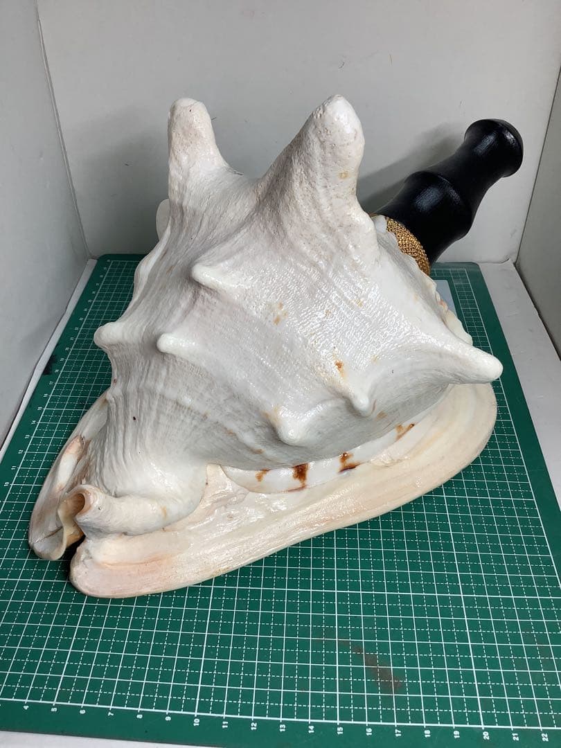 ヤフメリ33・トウカムリ・法螺貝・山伏・修験者・戦国武将・金峯山・羽黒山・縁起物