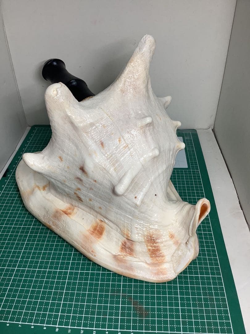 ヤフメリ33・トウカムリ・法螺貝・山伏・修験者・戦国武将・金峯山・羽黒山・縁起物