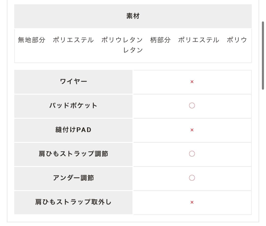San-ai Resort（サンアイリゾート）　しっかり盛れるノンワイヤービキ二