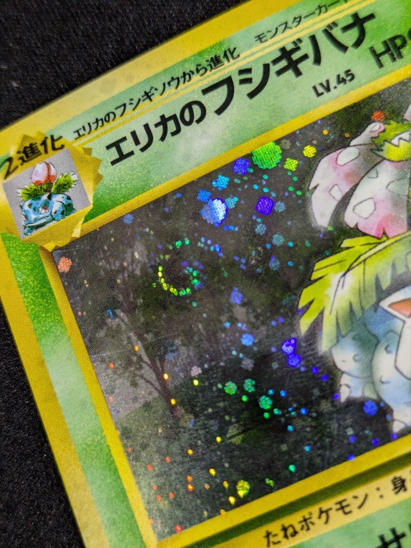 【状態：B（良品）】　エリカのフシギバナ　渦ホロ　旧裏　【商品連番：1101】