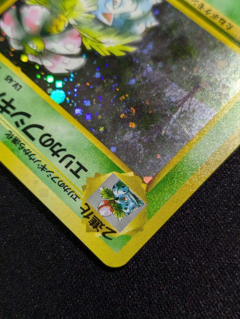 【状態：B（良品）】　エリカのフシギバナ　渦ホロ　旧裏　【商品連番：1101】