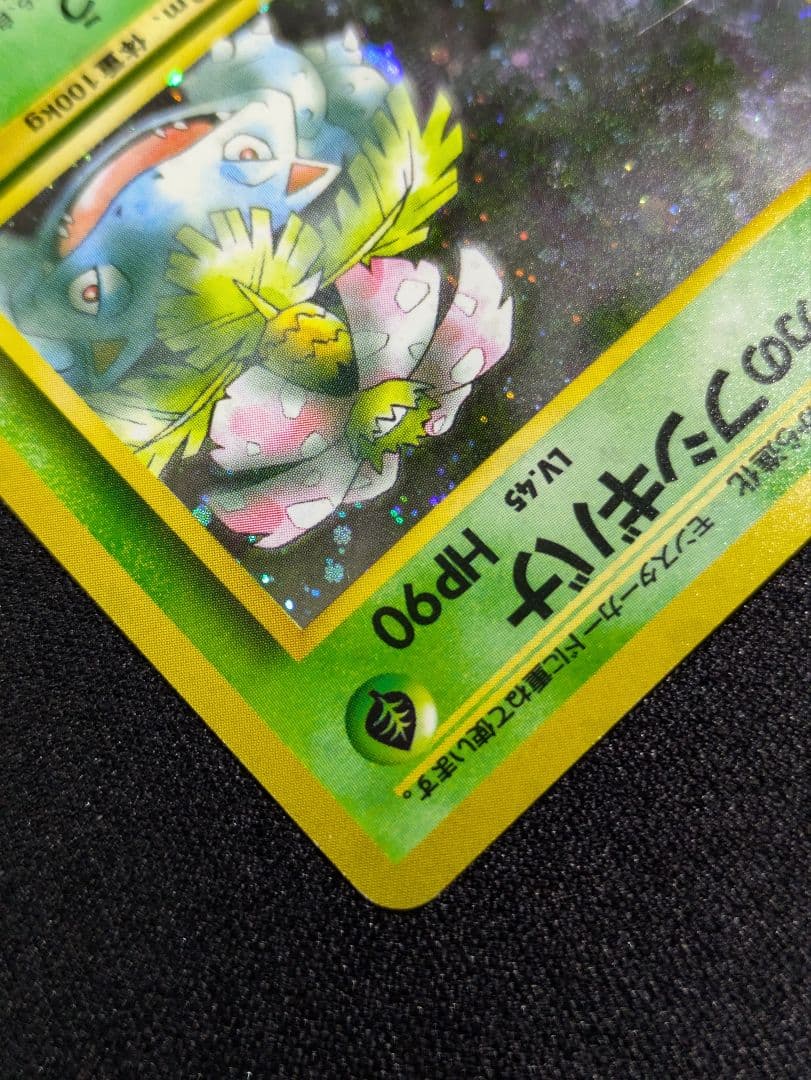 【状態：B（良品）】　エリカのフシギバナ　渦ホロ　旧裏　【商品連番：1101】