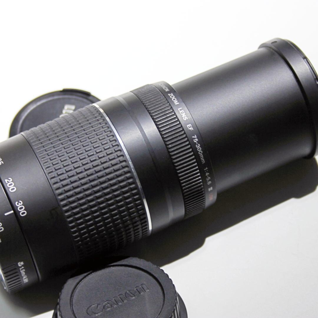 Canon EF 75-300mm f4-5.6 III USM ズームレンズ