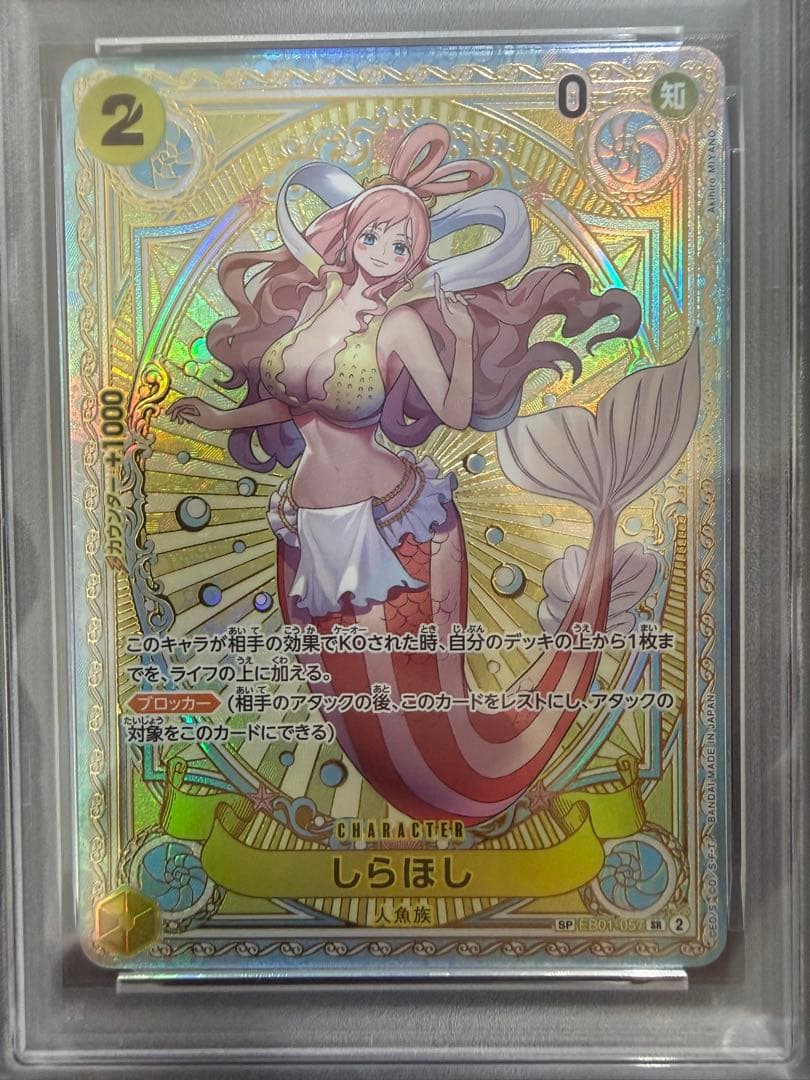 【PSA10】しらほし SP SR