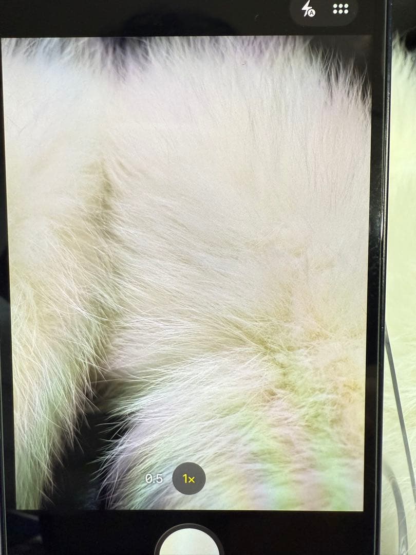 iPhone 12 128GBブラック 国内版 SIM フリー 箱付き