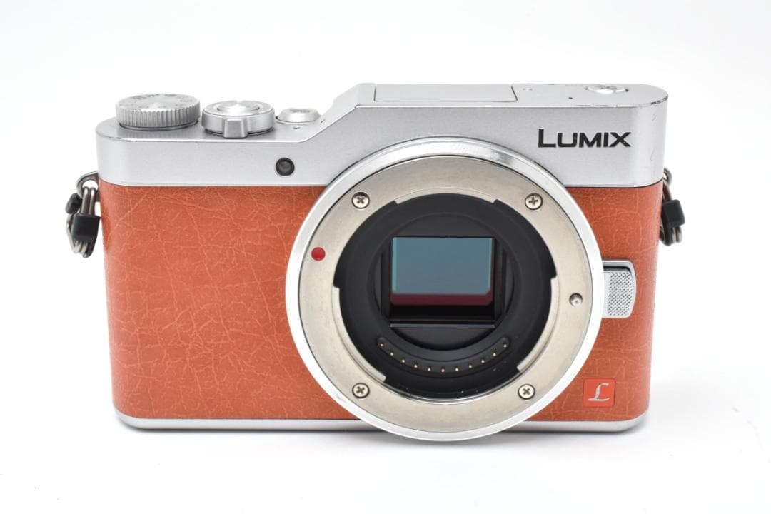 パナソニック　Panasonic LUMIX DC-GF9 ダブルレンズセット