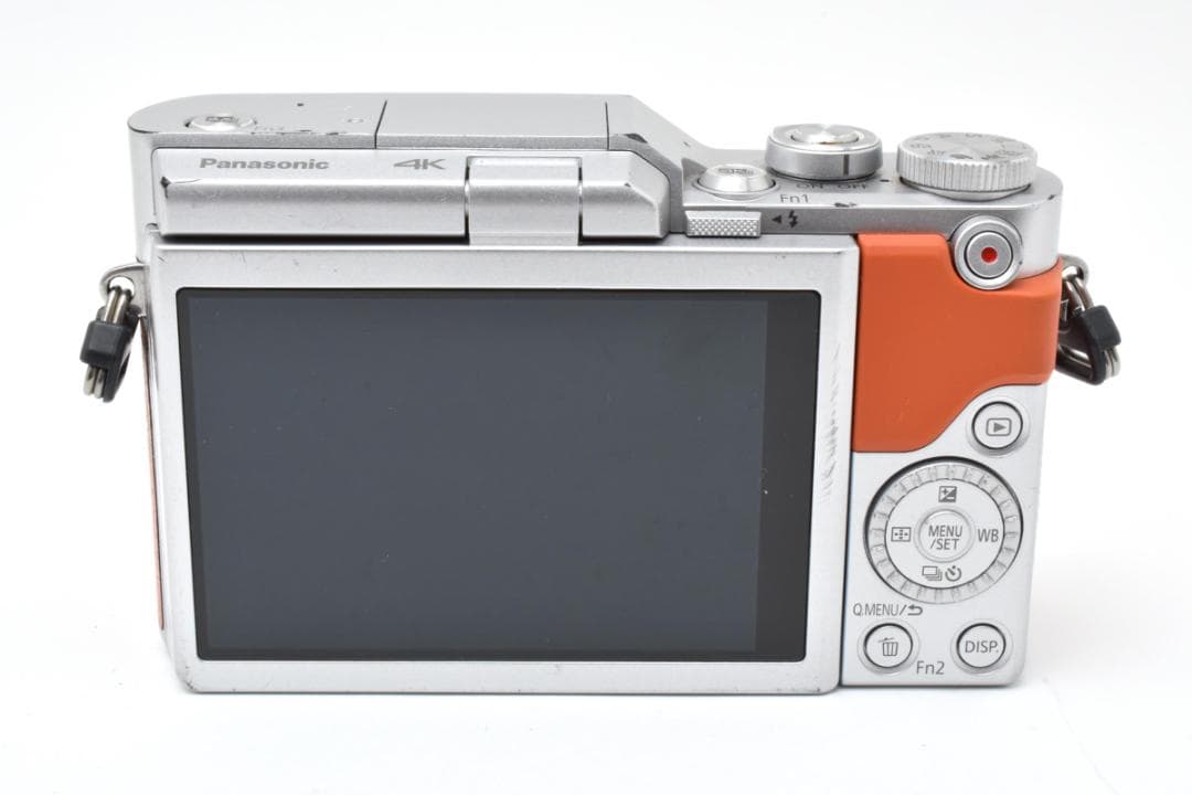 パナソニック　Panasonic LUMIX DC-GF9 ダブルレンズセット