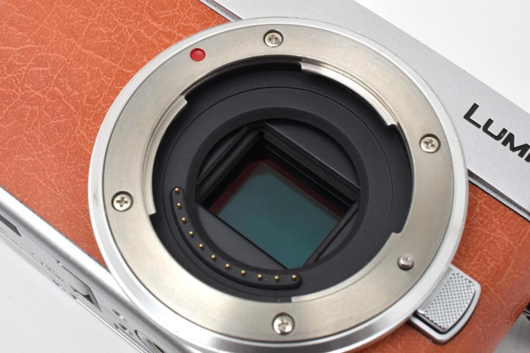 パナソニック　Panasonic LUMIX DC-GF9 ダブルレンズセット