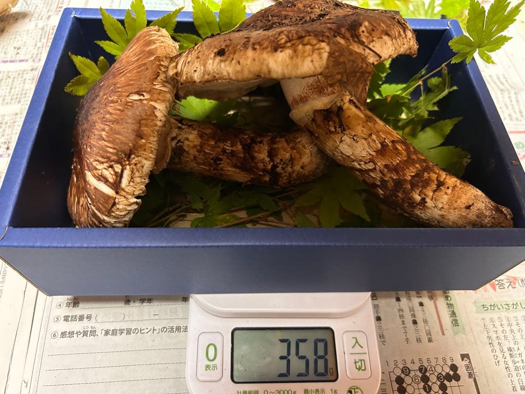 ＊山形県産＊ 松茸　358g