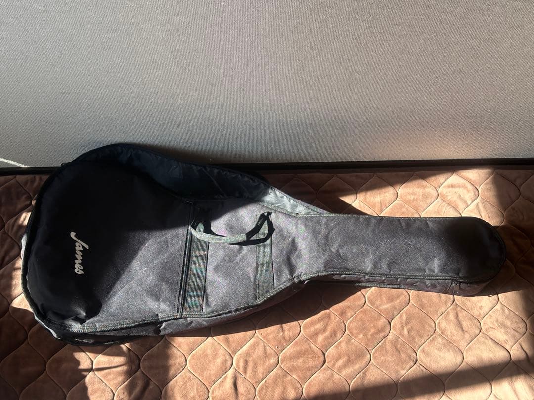 James J-300A NAT アコースティックギター ソフトケース付き