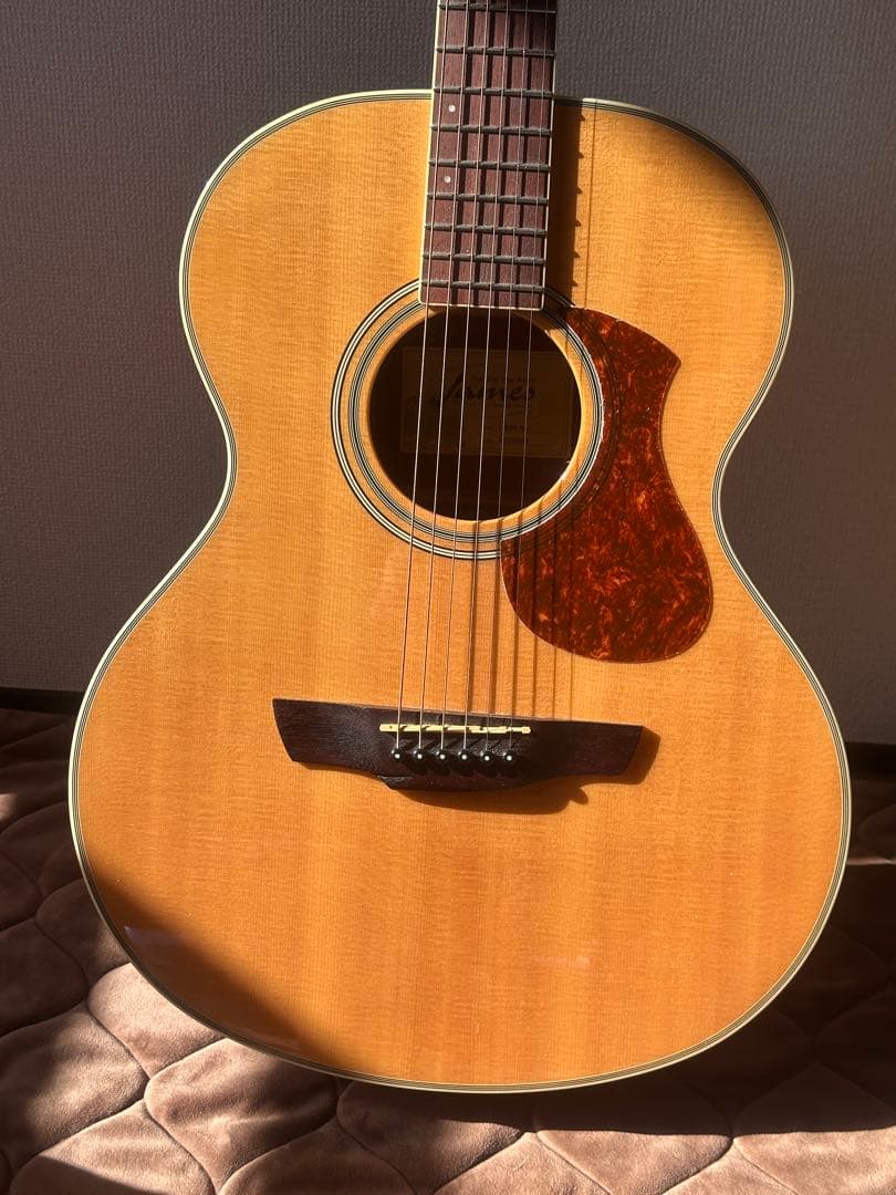 James J-300A NAT アコースティックギター ソフトケース付き