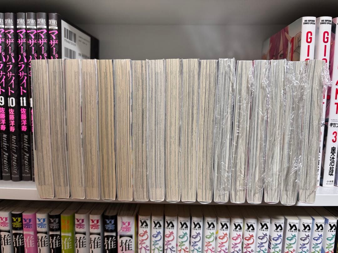 裏バイト 逃亡禁止　不死身のパイセン＋全17巻 【11巻無し】田中翔太郎