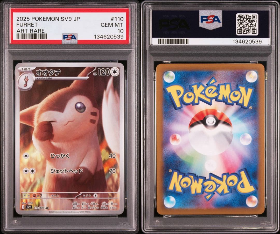 【PSA10】ポケモンカード オオタチ AR sv9 バトルパートナーズ