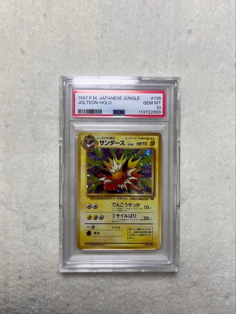 けい サンダース