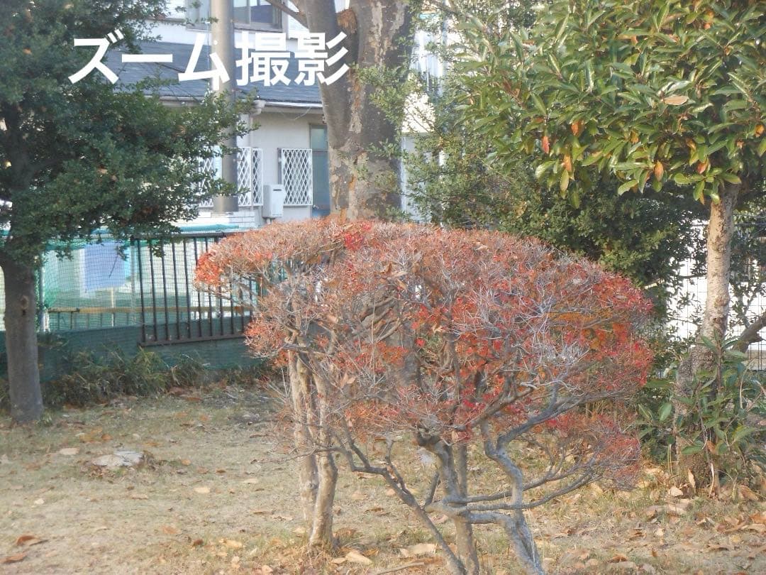 実写美⭕️【動作確認済み】Nikon COOLPIX S6200 デジカメ