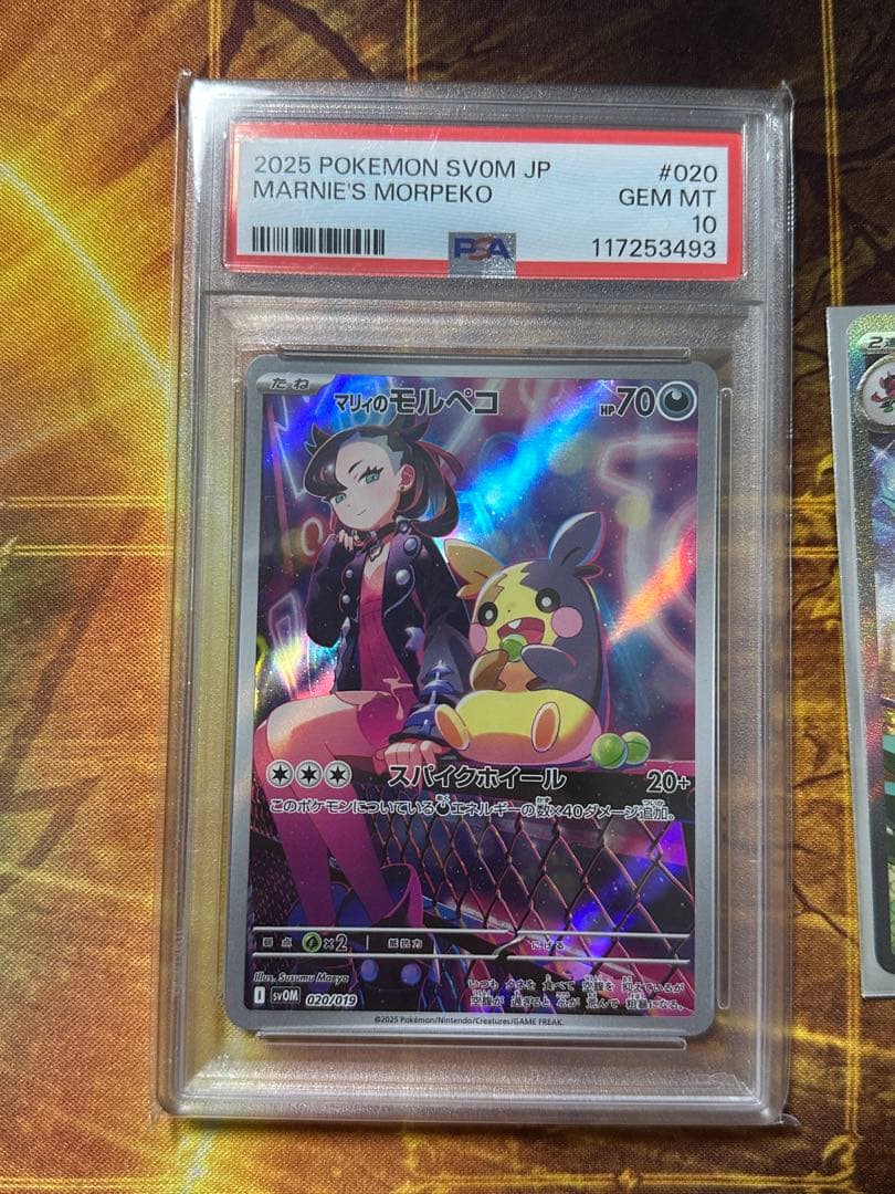 【PSA10】マリィのモルペコ AR スターターセット マリィのオーロンゲex