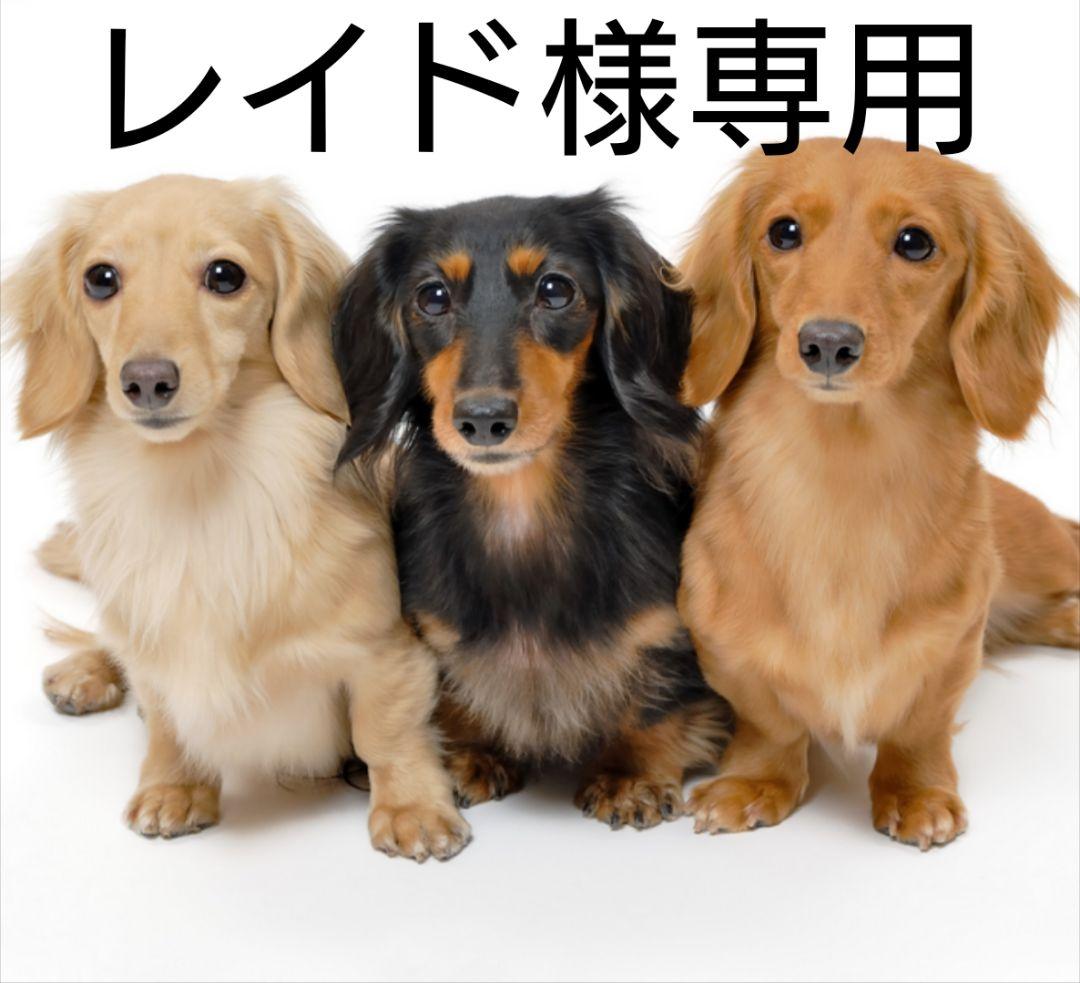 レイド ポケモンカード デッキシールド スリーブ 86枚