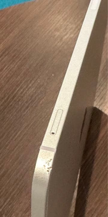 交渉大歓迎 iPad pro 12.9 第5世代 128G セルラー銀色