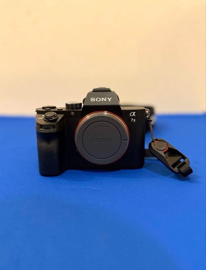 SONY α7Ⅱ TAMRON 28-75mm レンズセット