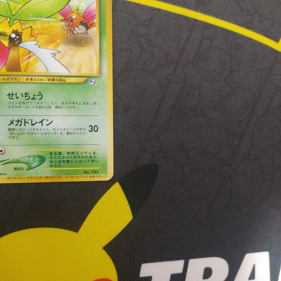 ヒマナッツ　なったワケ　旧裏　プロモ