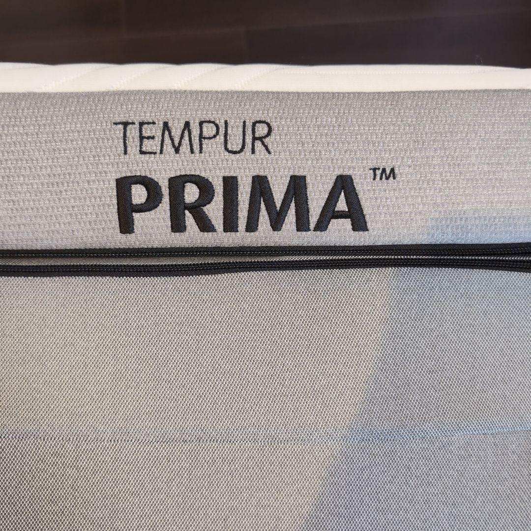 テンピュールプリマフトン