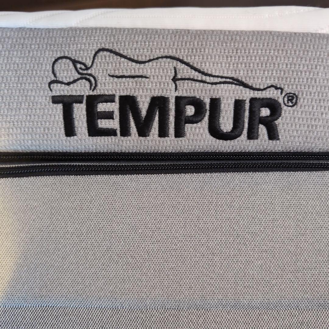 テンピュールプリマフトン