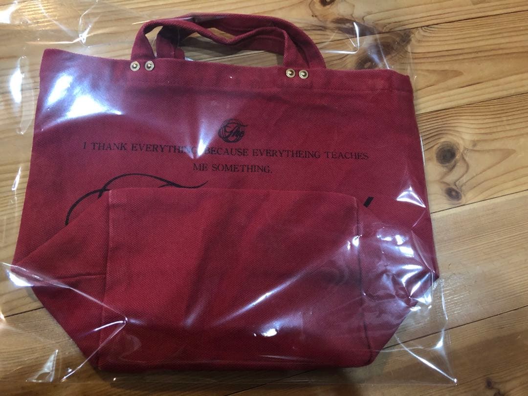 新品未使用　Deuxieme Classe Logo bag small 2 赤