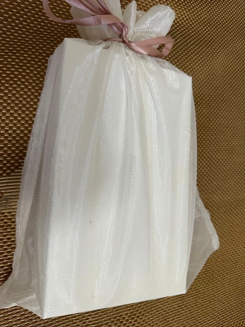 Panasonic ブライトショット