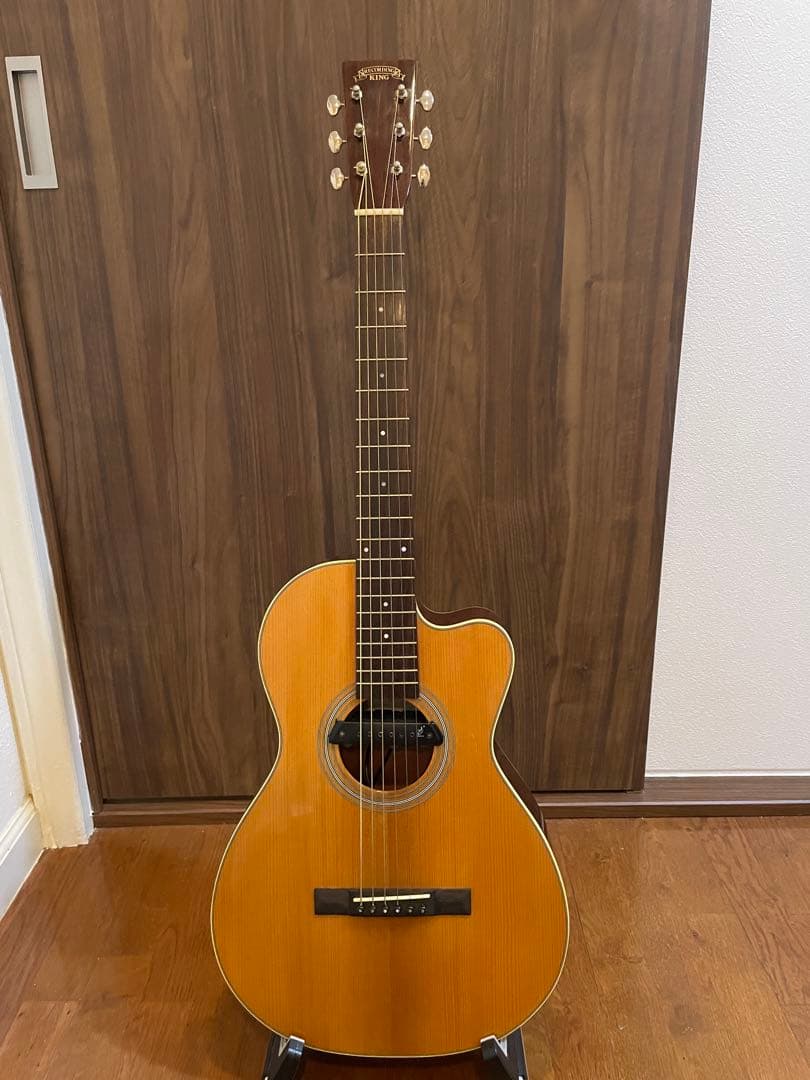 ギター Recording King RP1-16c / Adeline pickup