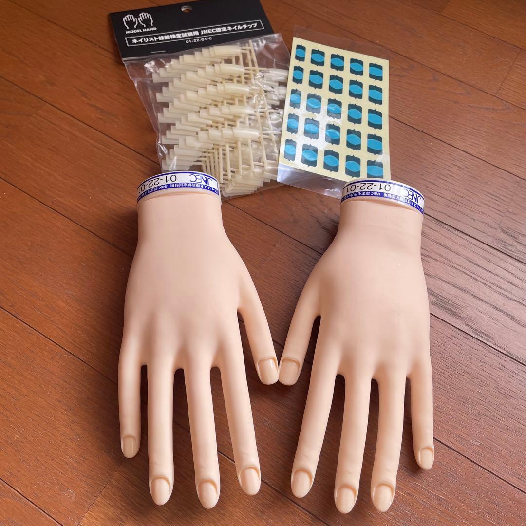 STモデルハンド ネイリスト検定 JNEC認定 モデルハンド 認定チップ付き