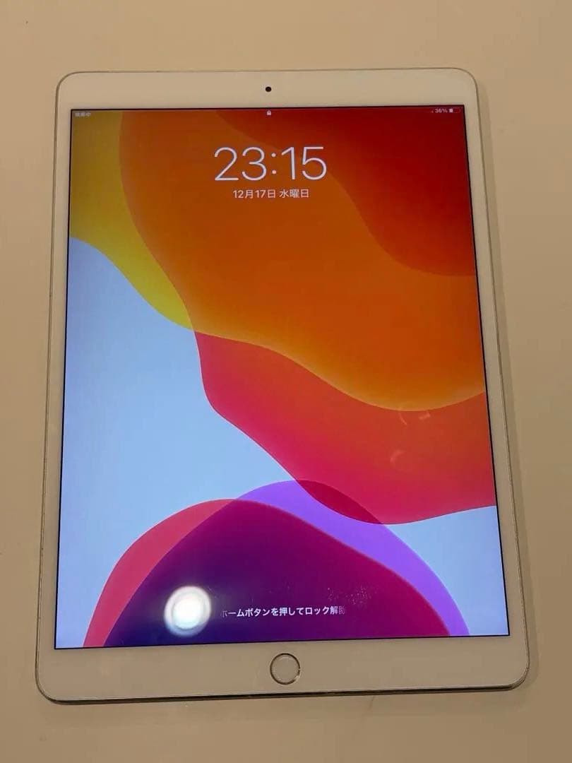 Apple iPad pro A1709 10.5インチ本体