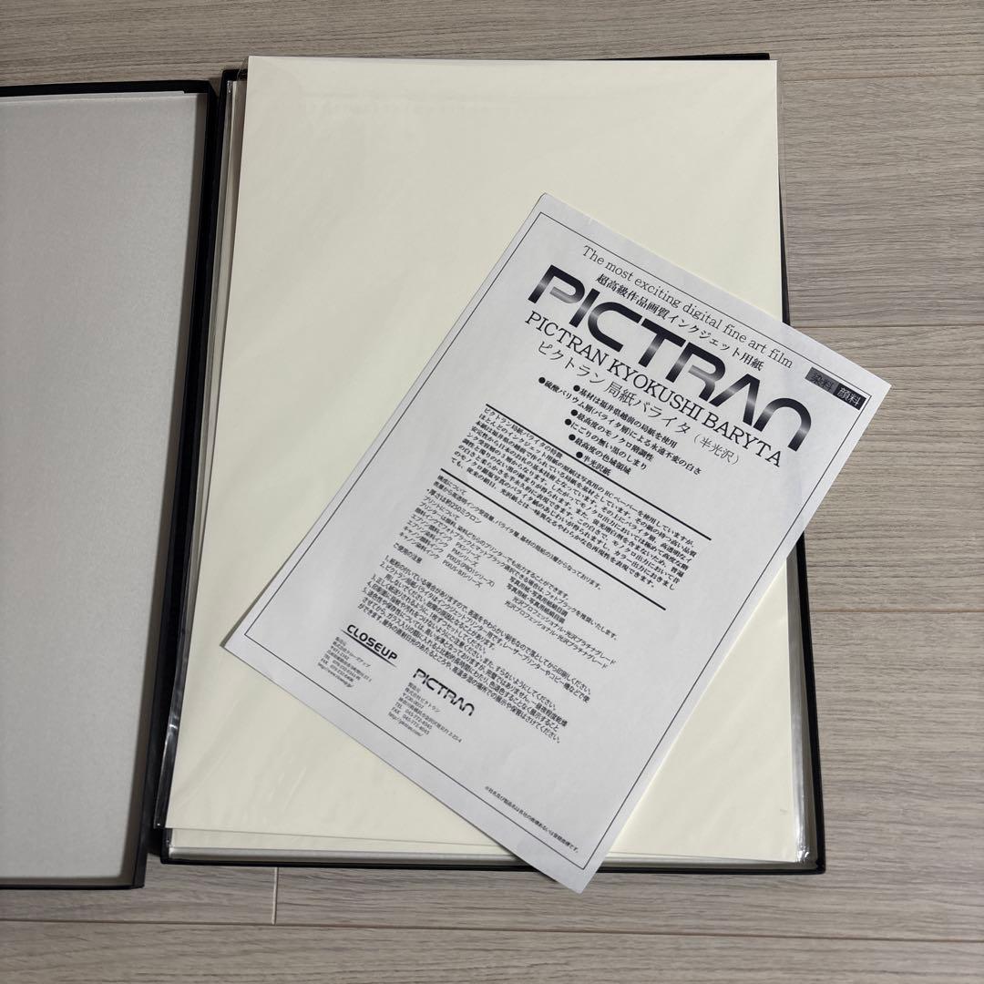 Canon PRO-G1 本体　美品