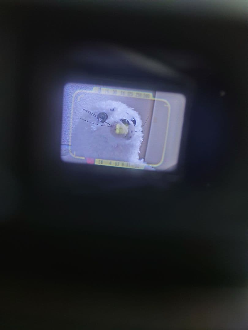 【ジャンク扱い】OLYMPUS 35 RC フィルムカメラ