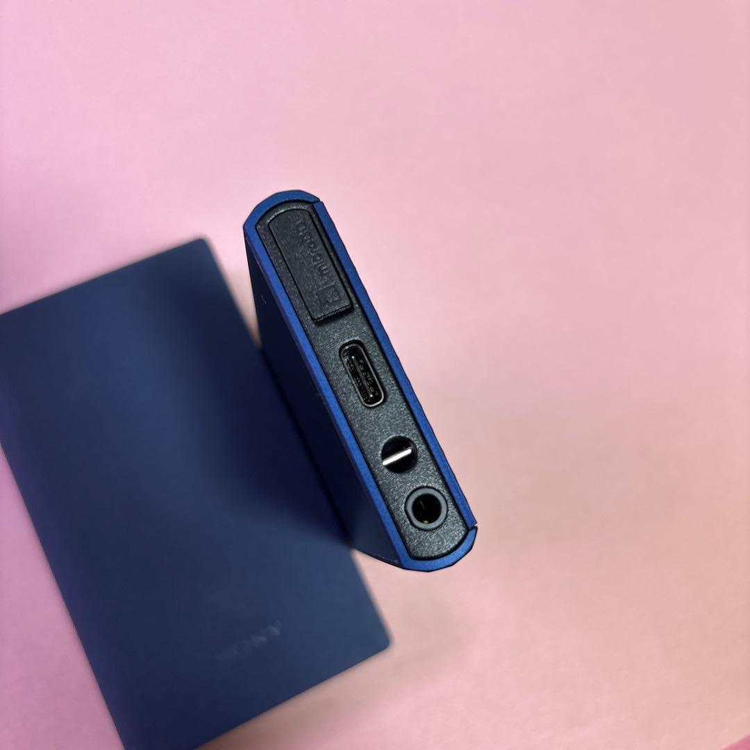 WALKMAN NW-A306 ブルー 専用ケースセット