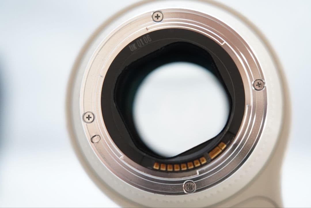 キャノン EF 70-200㎜ F=1:2.8 L USM 超望遠・ズームレンズ