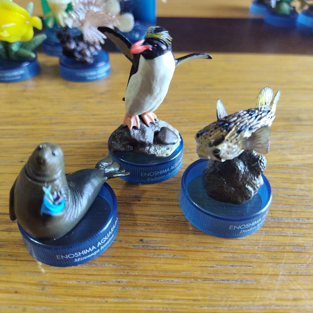 土日値下げ江の島水族館 海洋生物1、 2全フィギュア29種フルコンプセット