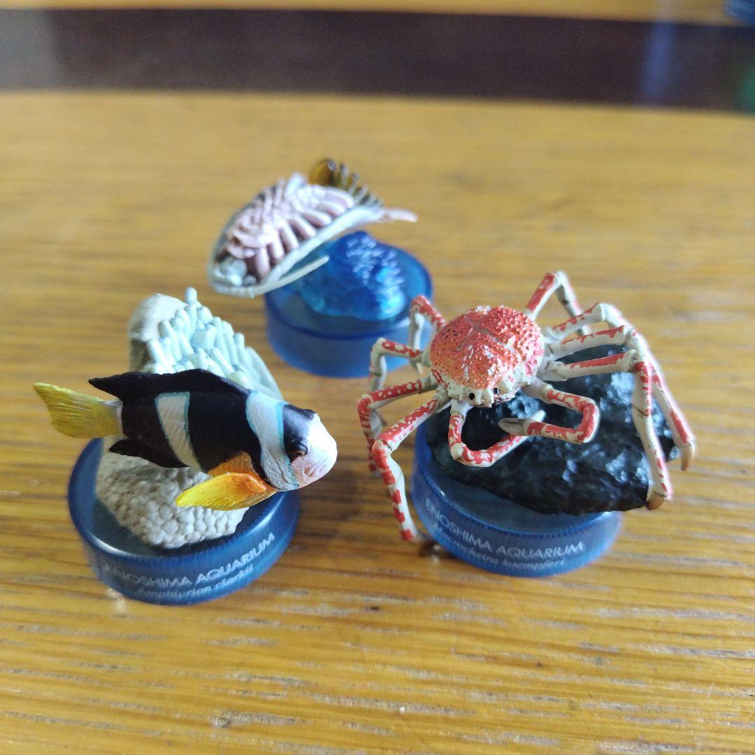 土日値下げ江の島水族館 海洋生物1、 2全フィギュア29種フルコンプセット