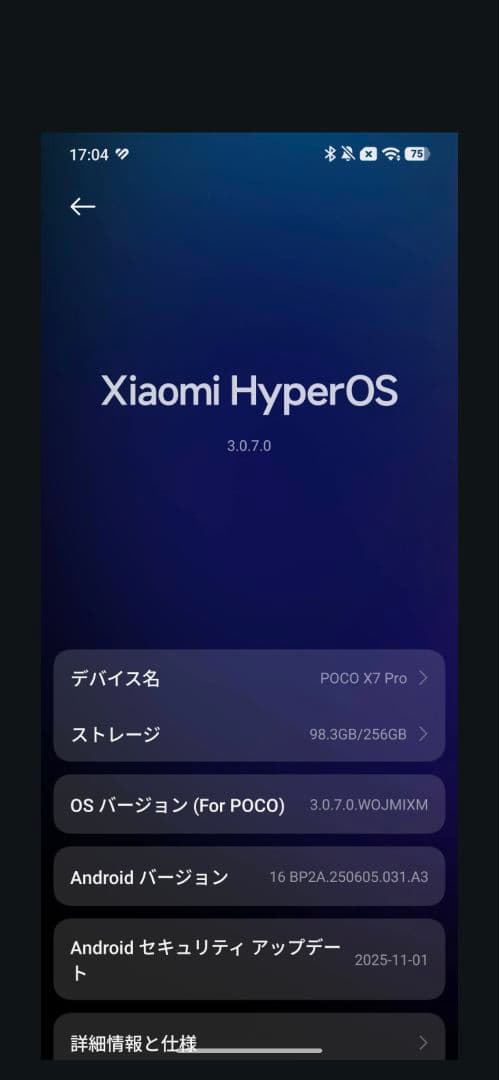 Xiaomi POCO X7 Pro 12GB/256GB グローバル版