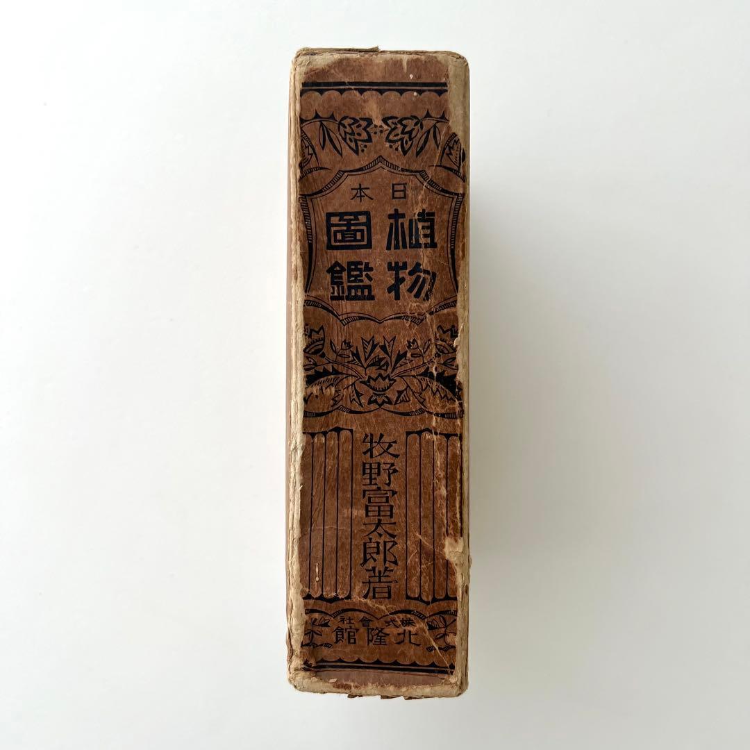 日本植物図鑑　牧野富太郎　北隆館　1925年初版