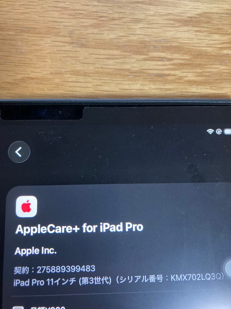 アップルケア付　iPad Pro 11 256GB スペースグレイ