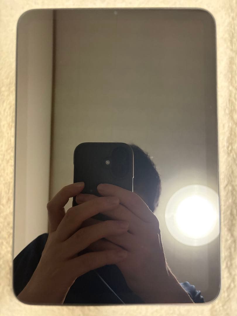 Apple iPad mini 256GB Wi-Fi(第6世代)