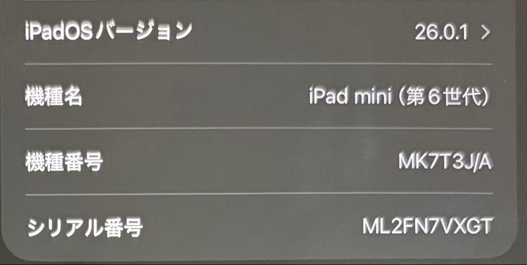 Apple iPad mini 256GB Wi-Fi(第6世代)