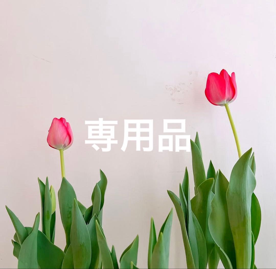 ( ¨̮ )　モイストリフレッシングクレンザー　業務用　サンスクリーン