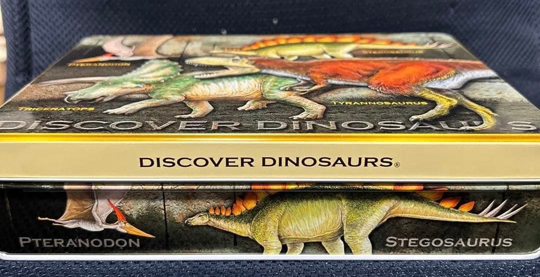 ダイナソー　チョコレートの空き箱