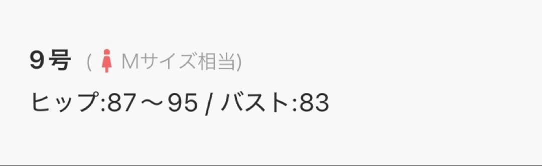 San-ai Resort 楽盛り水着　ワイヤービキニ