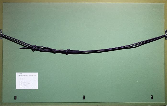 中島千波 【素櫻神社の神代櫻】 金バック リトグラフ