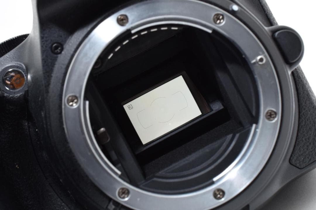 美品 ニコン NIKON D5600 ダブルズームキット デジタル一眼レフカメラ