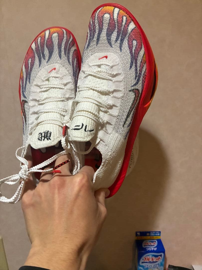 ナイキ NIKE アルファフライ3 アルファフライ　メンズ25