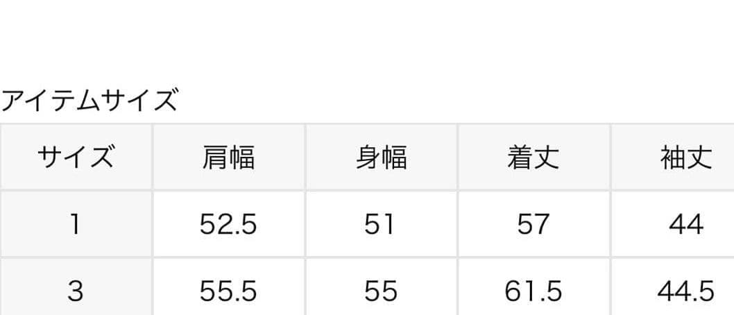 IENA別注カラー限定完売SAINT JAMES OUESSANT LOOSE3
