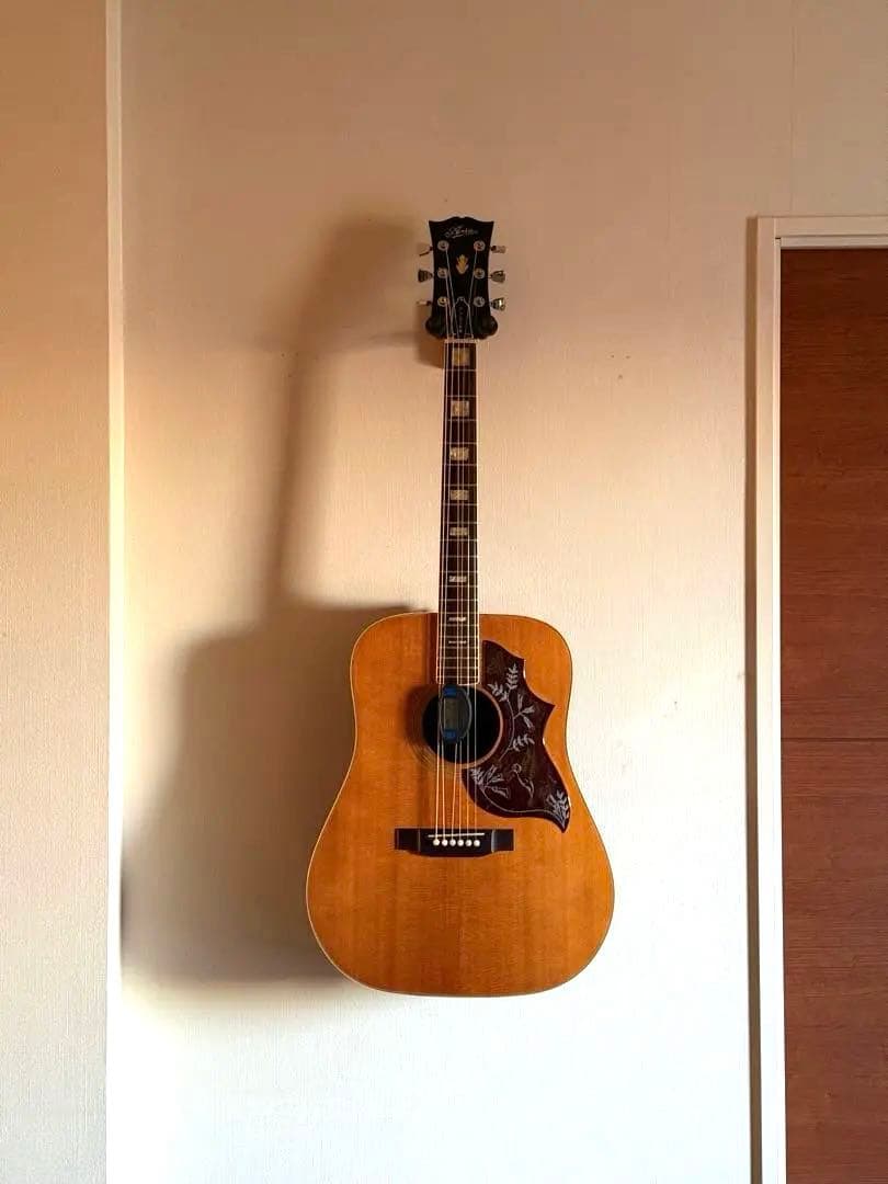 ARIA WH30 アコースティックギター